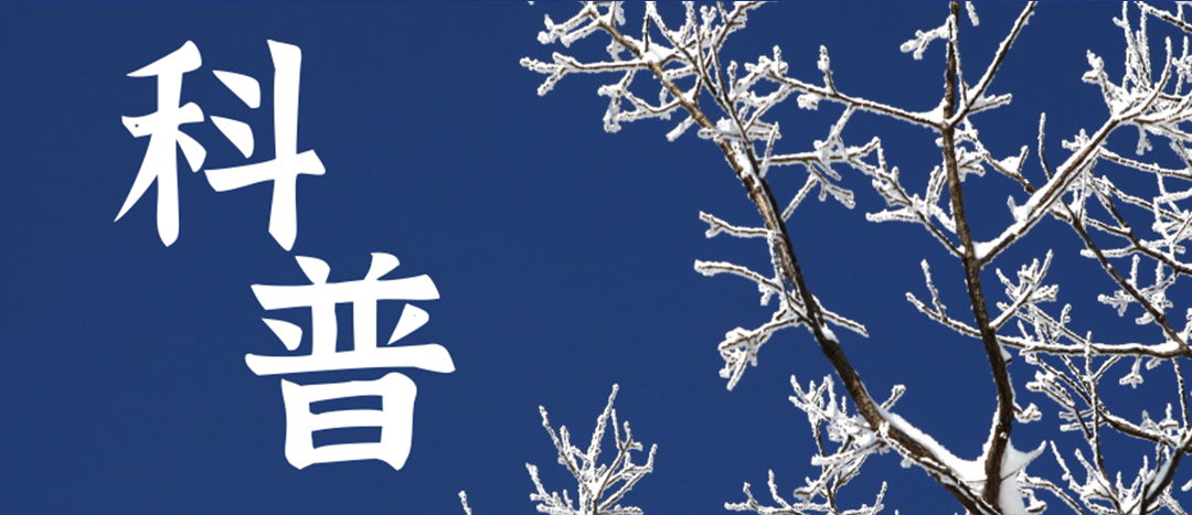 科普 | 冬季雨雪天氣?；愤\輸車輛注意事項