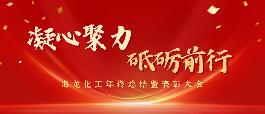 表彰 | 凝心聚力，砥礪前行，海龍化工年終總結暨表彰大會圓滿舉行